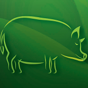 【見逃し配信公開中】ベーリンガーインゲルハイム養豚セミナー2022　　　　　PCV2 ：制御のポイント再検証と最近の知見について