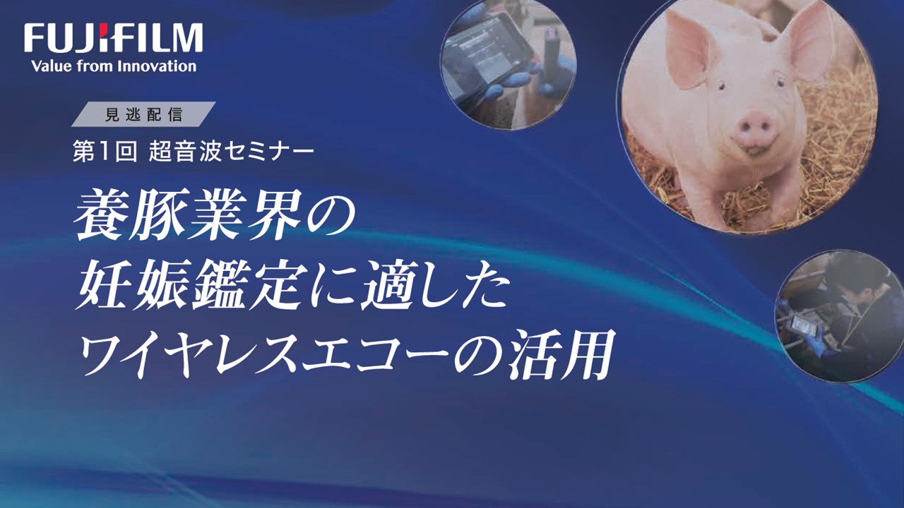 【配信期間延長】養豚業界の妊娠鑑定に適したワイヤレスエコーの活用